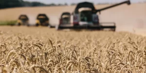 Effect of Russia Ukraine Grain Deal on Markets