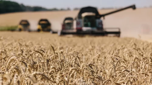 Effect of Russia Ukraine Grain Deal on Markets