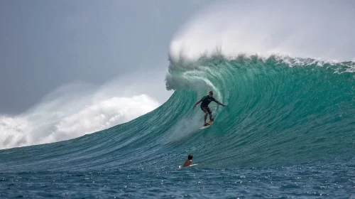 Opportunity waves for 2023.