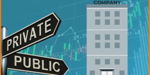 What is a public Company?