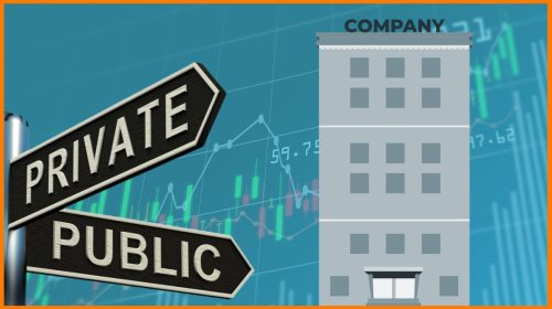 What is a public Company?