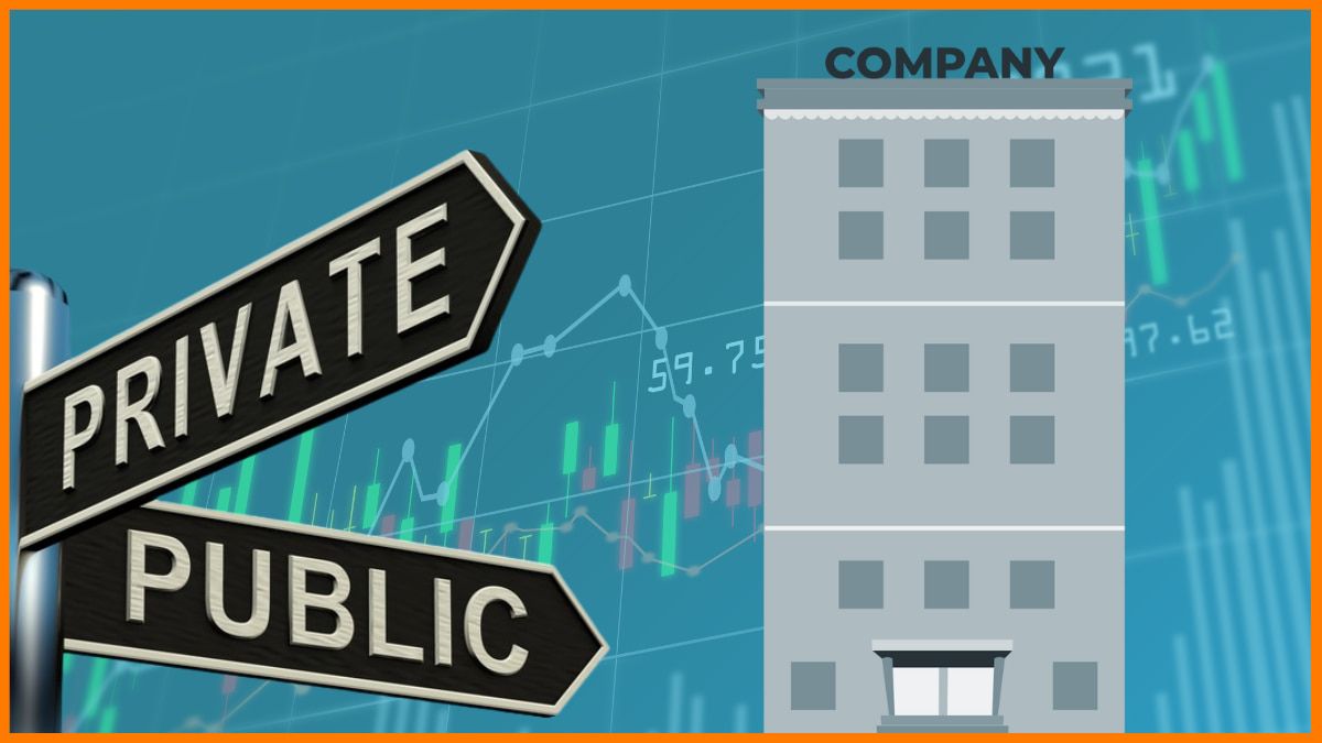 What is a public Company?